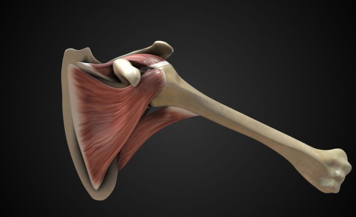 Παθήσεις ώμου